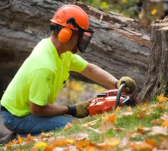 tree services Chadbourn